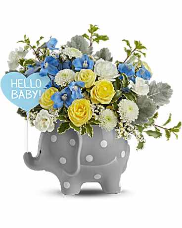 Teleflora's Dreamy Delight Bouquet - Blue - Welcome a sweet baby boy with the Dreamy Delight Bouquet - Blue! Bursting with fresh blooms, this adorable arrangement is presented in the Hello Baby Elephant Keepsake, a charming polka-dotted ceramic vase that makes a perfect nursery keepsake for years to come. The Dreamy Delight Bouquet - Blue features light yellow spray roses, white miniature carnations, light blue delphinium, white button spray chrysanthemums, white limonium, dusty miller, and pitta negra. Arranged in the Hello Baby Elephant Keepsake, this sweet bouquet is a perfect way to welcome a baby boy.