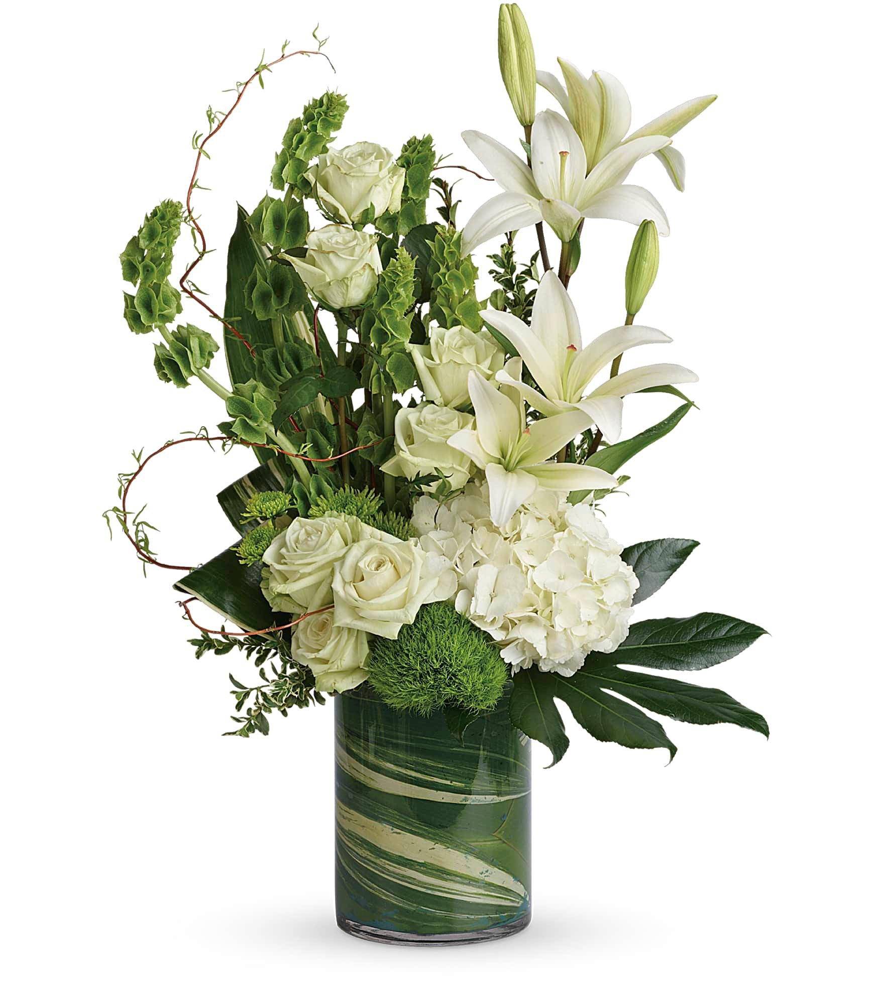 Botanical Beauty Bouquet - Snow white blooms and eye-catching greens create this beautiful botanical gift that's a peaceful addition to any occasion. This stunning arrangement features an array of elegant white flowers, perfect for adding a touch of sophistication to any space.  This modern bouquet includes white hydrangea, green roses, white asiatic lilies, green trick dianthus, bells of Ireland, green button spray chrysanthemums, curly willow, oregonia, variegated aspidistra leaves, small aralia leaf, green ti leaf, and lemon leaf. Delivered in a cylinder vase.  Standard:&nbsp;Approximately 18 1/2&quot; W x 27&quot; H Deluxe:&nbsp;Approximately 18 1/2&quot; W x 27&quot; H Premium:&nbsp;Approximately 19&quot; W x 28&quot; H   &nbsp;