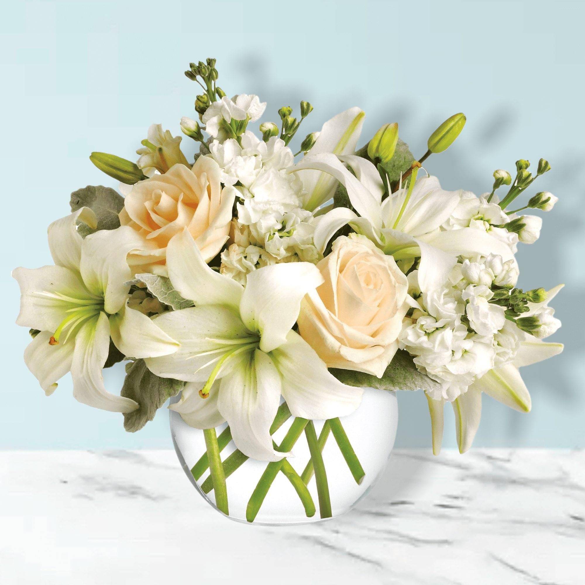Isle of White Bouquet - Like a vacation for the senses, this lovely isle of white flowers delivers an oasis of beauty and elegance. Soothing, serene and very special.  Crème roses, white asiatic lilies and stock stem are incredibly arranged in a bubble vase. When it comes to bouquets, this is definitely the right way to do white. Brighten up any space with this gorgeous white floral bouquet today!   &nbsp;   &nbsp;  Standard: Approximately 14&quot; W x 11 1/2&quot; H   &nbsp;  Deluxe: Approximately 14 1/2&quot; W x 12&quot; H   &nbsp;  Premium: Approximately 15&quot; W x 13&quot; H   &nbsp;
