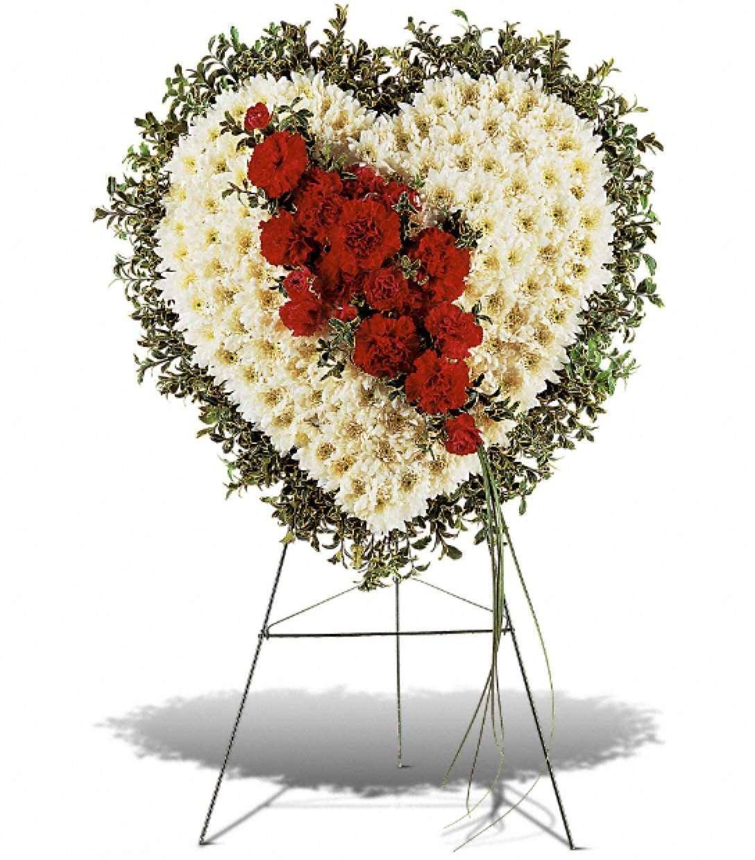 Tribute Heart Funeral Spray - To express just how you feel, send this heart-shaped arrangement with its white chrysanthemums and red carnations.  Each heart is covered with white chrysanthemums, accented with a cluster of red carnations and edged in oregonia. The heart is delivered on an easel. Approximately 21&quot; W x 23&quot; H   --   To express just how you feel, send this heart-shaped arrangement with its white chrysanthemums and red carnations.  Each heart is covered with white chrysanthemums, accented with a cluster of red carnations and edged in oregonia. The heart is delivered on an easel. Approximately 21&quot; W x 23&quot; H