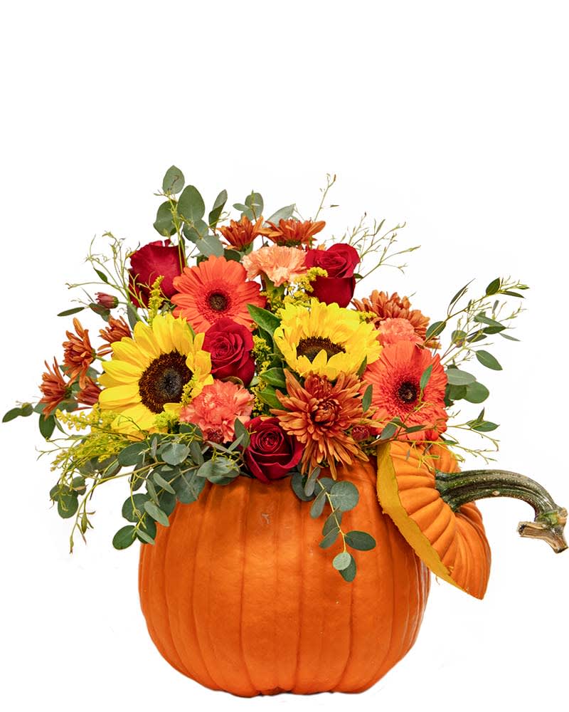 Pumpkin Spice  - Tis the season for chilly air, warm colors, the scent of cinnamon, mums, and pumpkins!! Whether delivered as a seasonal gift or to decorate your home for fall celebrations, this pumpkin centerpiece arrangement is the floral deal of the season. *Pictured is Premium package