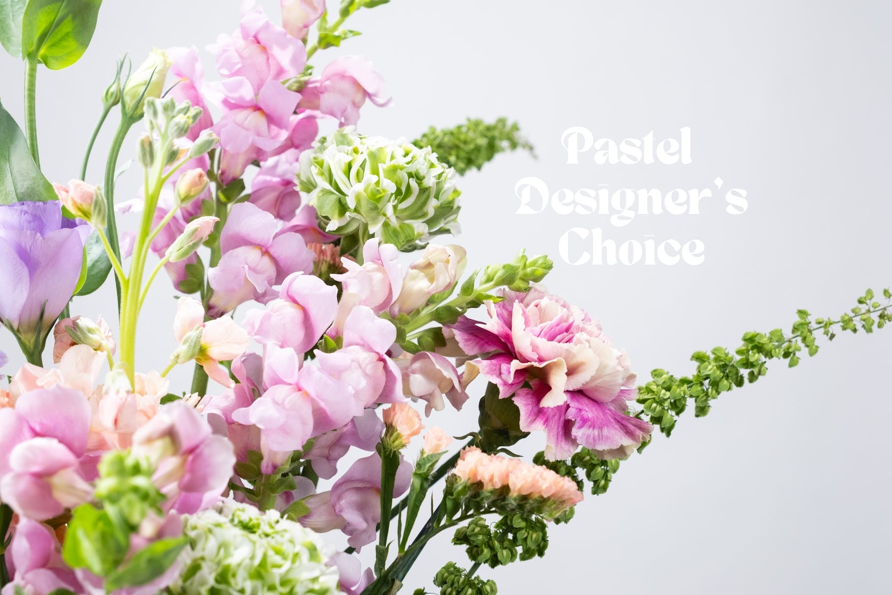 Pastel Designer’s Choice Pastel Designer’s Choice - Not Sure what to pick? Our florists have you covered! We’ll craft a unique arrangement with the freshest blooms and a touch of magic. *While we can’t always promise every single flower will be in stock, we’ll always keep the same style, color palette, and feel. Different blooms, same energy.*