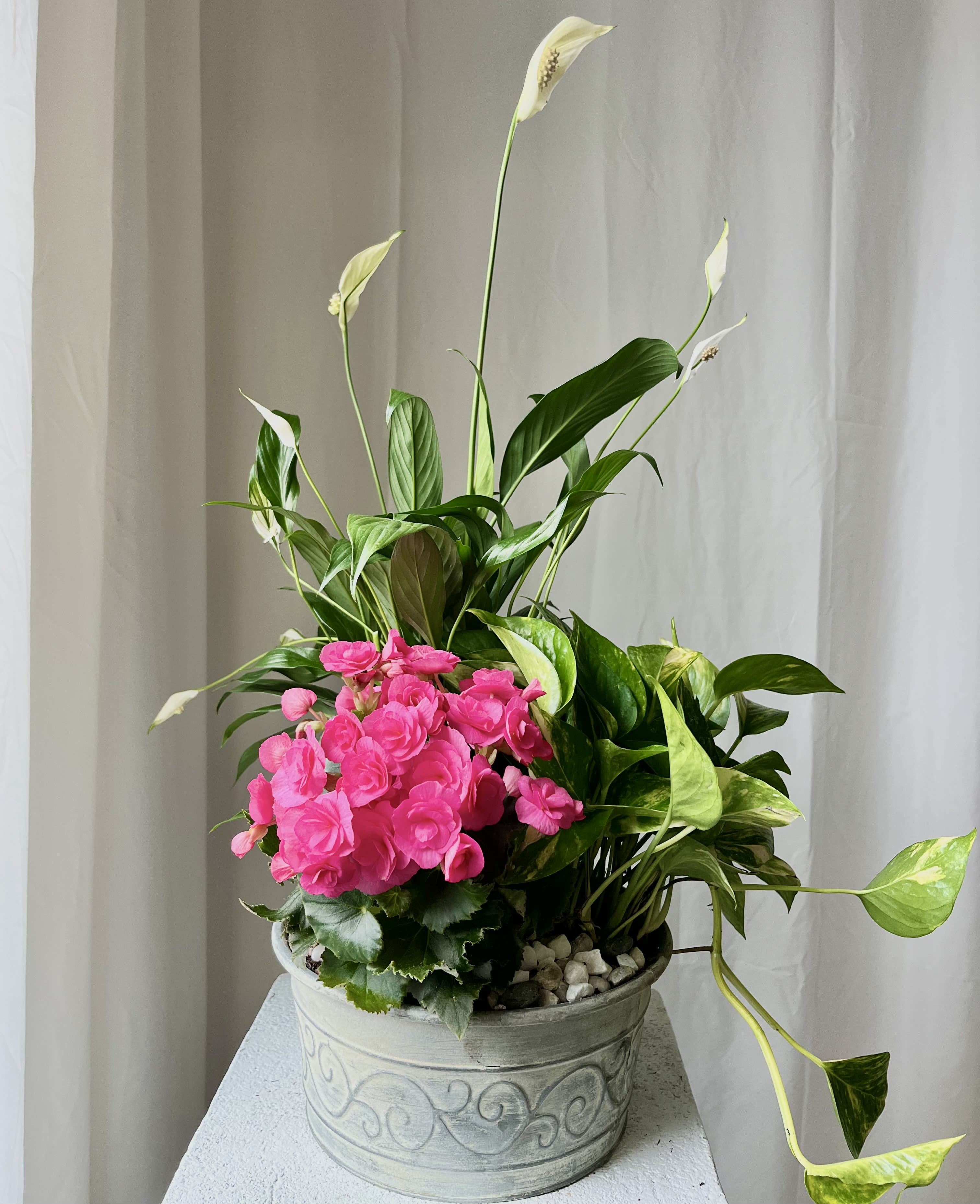 Old Durham Garden - The Old Durham Garden standard is a metal planter that features three 4 inch plants with soil and rocks. Our usual planter features peace lilies, anthurium, and pothos, but the plant content may vary depending on season and availability.
