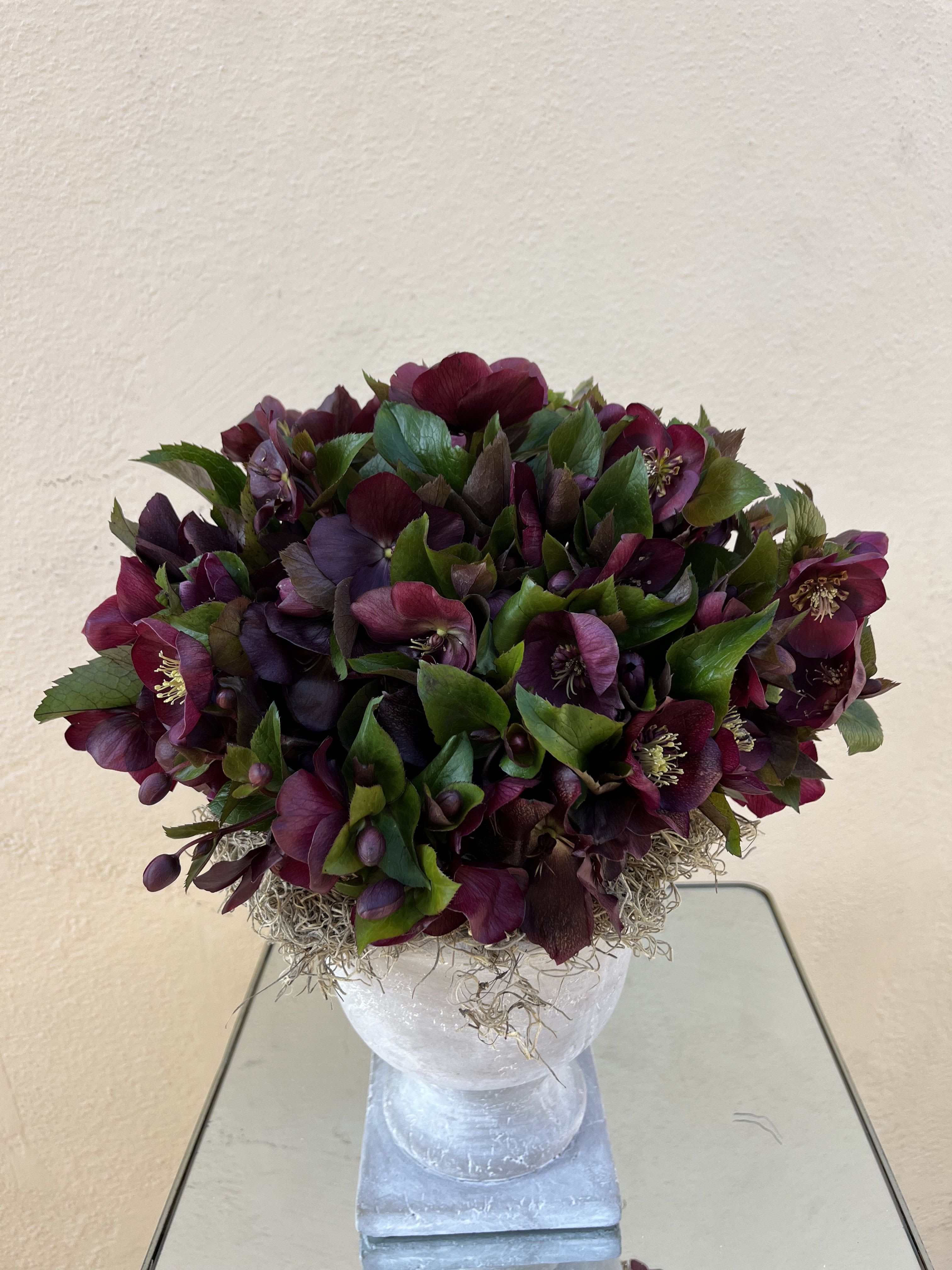 Lenten Rose  - Simple yet so classy. 