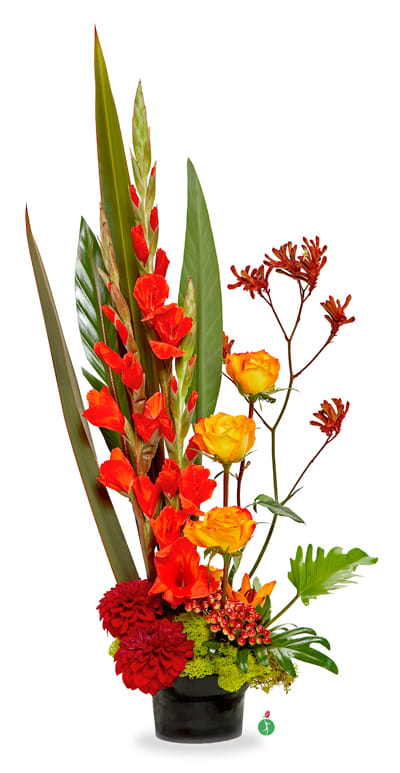In the Tropics - A tropical paradise! Bright, fiery and exotic… this stunning, modern arrangement – including gladiolas, roses and more, in shades of gentle green and blazing orange – is like a bonfire made of flowers!