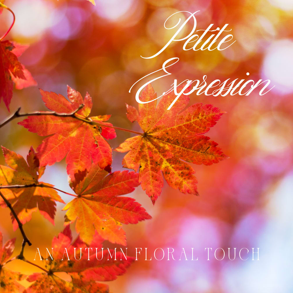 Petite Expression - A charming, hand-crafted floral arrangement designed by our talented team using the freshest seasonal blooms. Perfect for birthdays, thank-yous, anniversaries, or simply to brighten someone’s day, this petite arrangement delivers effortless beauty in a compact, artful form.  Each design is thoughtfully composed with a curated selection of premium flowers chosen for their color, texture, and seasonal appeal, making every piece truly one-of-a-kind.  Because every arrangement is custom-made, flower varieties and containers may vary based on seasonal availability, but the style and quality will always reflect our signature ImpeKable artistry.  Available for same-day delivery or pickup from our DeLand studio. We proudly serve DeLand, DeBary, Deltona, Cassadaga, Orange City, Lake Helen, Lake Mary, Sanford, Longwood, Casselberry, Altamonte Springs, Maitland, Winter Park, DeLeon Springs, New Smyrna Beach, and Daytona Beach.