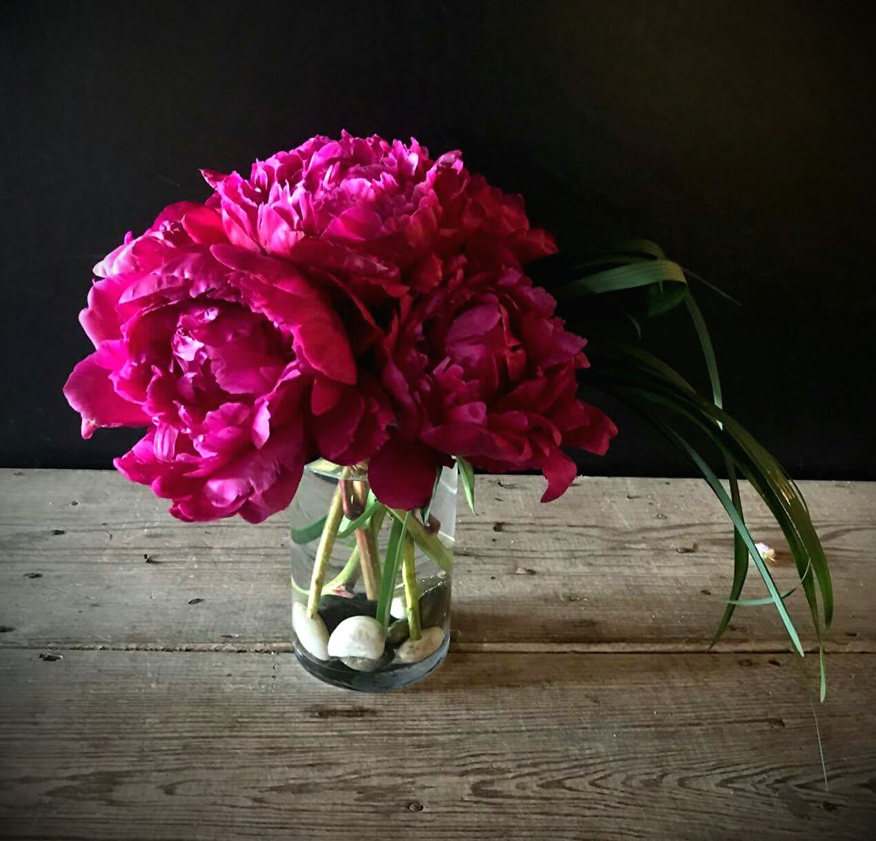 Peony Gathering (colors vary) - This design features 6 luscious peonies in a vase accented with river stones and Lily grass.  The varieties and colors will vary from week to week depending upon availability.  This design is only available as the season allows.