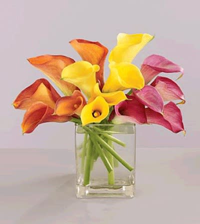 Sweet callas - A beautiful arrangement with mix calla lilies perfect for any occasion 