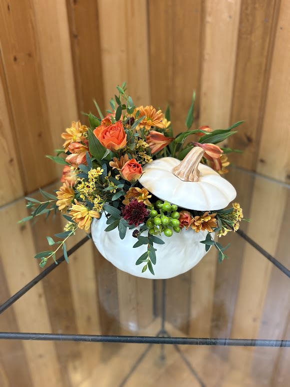 Enchanted Harvest Pumpkin - Add a touch of enchantment to your fall gatherings with this magnificent mix of autumnal roses and mums, gathered in a white ceramic pumpkin that's sure to be an annual décor favorite! Orange roses, orange alstroemeria, miniature maroon carnations, and yellow viking daisy spray chrysanthemums are accented with white waxflower, red cottage yarrow, huckleberry, grevillea, brown copper beech, and yellow preserved oak leaves. Delivered in Teleflora's Enchanted Harvest Pumpkin. Orientation: All-Around  SUBSTITUTION POLICY – Always deliver the freshest flowers! Please note the bouquet pictured reflects our original design.  If the exact flowers or container in this arrangement are not available, our local florists will create a beautiful bouquet with the freshest available flowers.