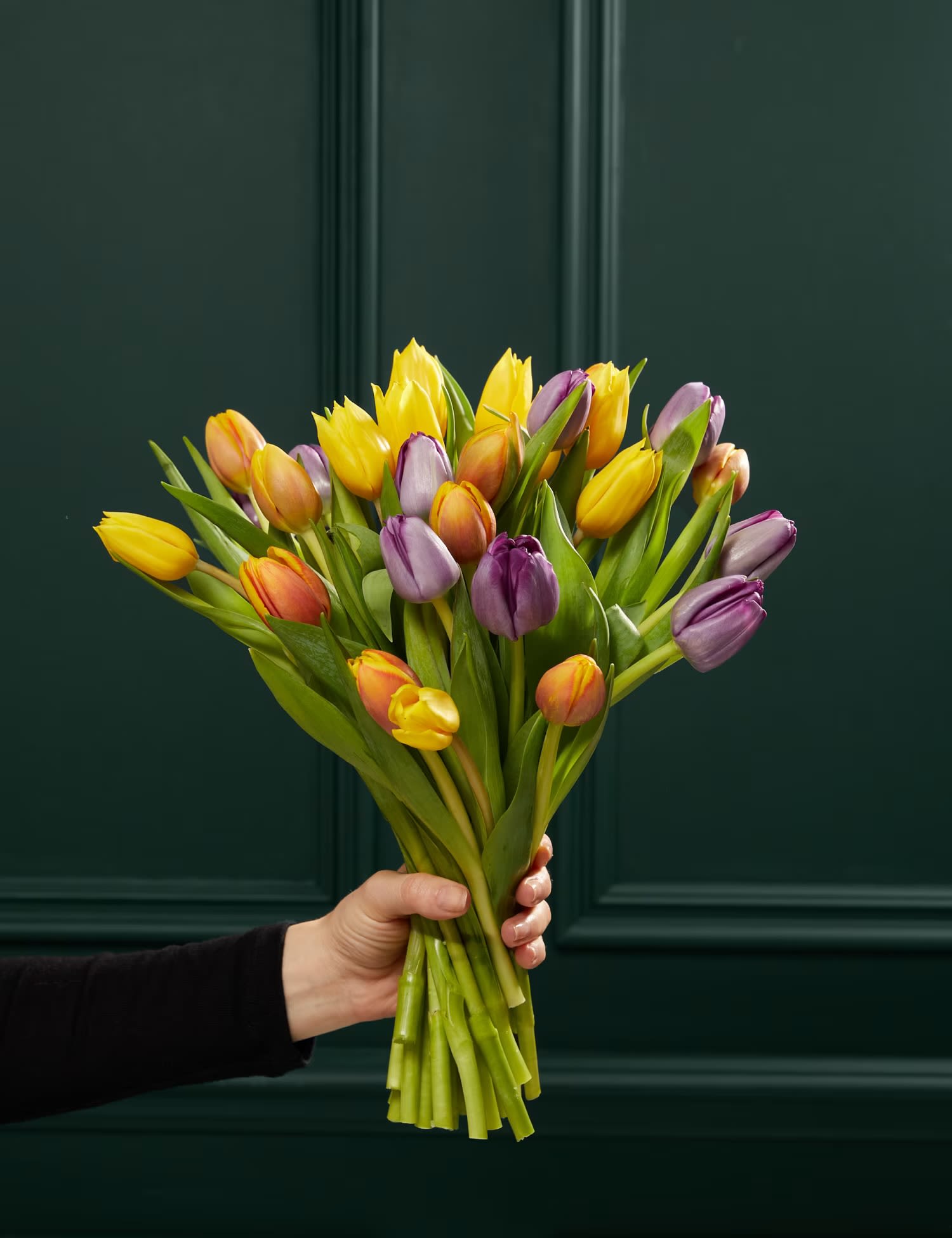 Bright &amp; Beautiful Assorted Tulips - Tulips are a timeless symbol of spring, celebrated for their vibrant beauty and almost perfect symmetry. This arrangement offers a modern twist on the classic flower with a stunning blend of bright orange, purple, and yellow hues. Part of the Lily family, tulips bring a cheerful elegance to any space. Featuring 26 tulips, this abundant bouquet is perfect for adding a touch of springtime charm to your home. Please note that colors may vary slightly throughout the season, ensuring each arrangement is uniquely beautiful.