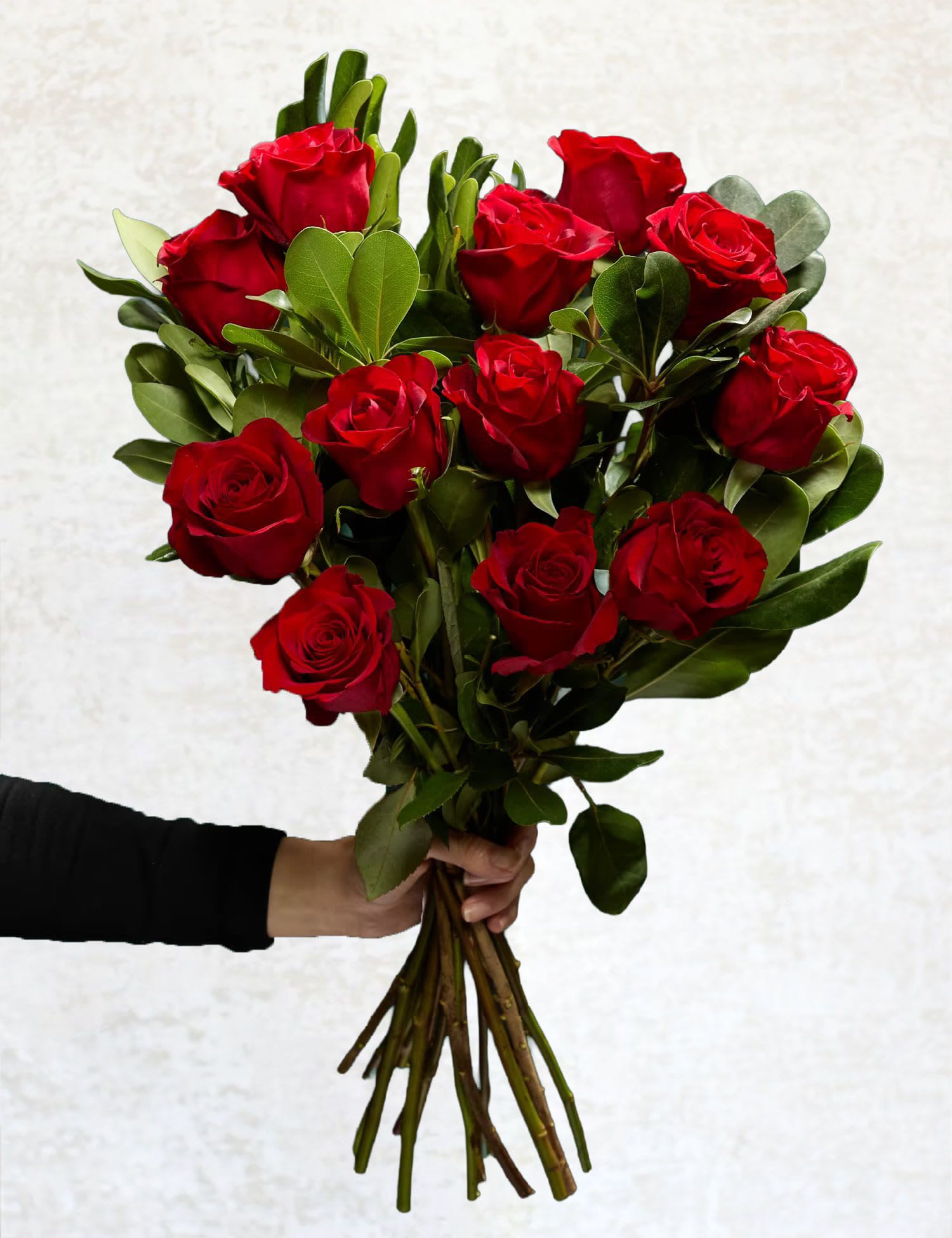 Classic Romance - Celebrate timeless love and passion with the Classic Romance Bouquet, featuring a dozen stunning red roses. Each bloom is carefully selected for its beauty and rich color, creating a breathtaking display of elegance and affection. Perfect for anniversaries, Valentine's Day, or any moment you want to make unforgettable, this iconic bouquet speaks volumes without saying a word.  What's included?  12 premium red roses and decoration, arranged to perfection.