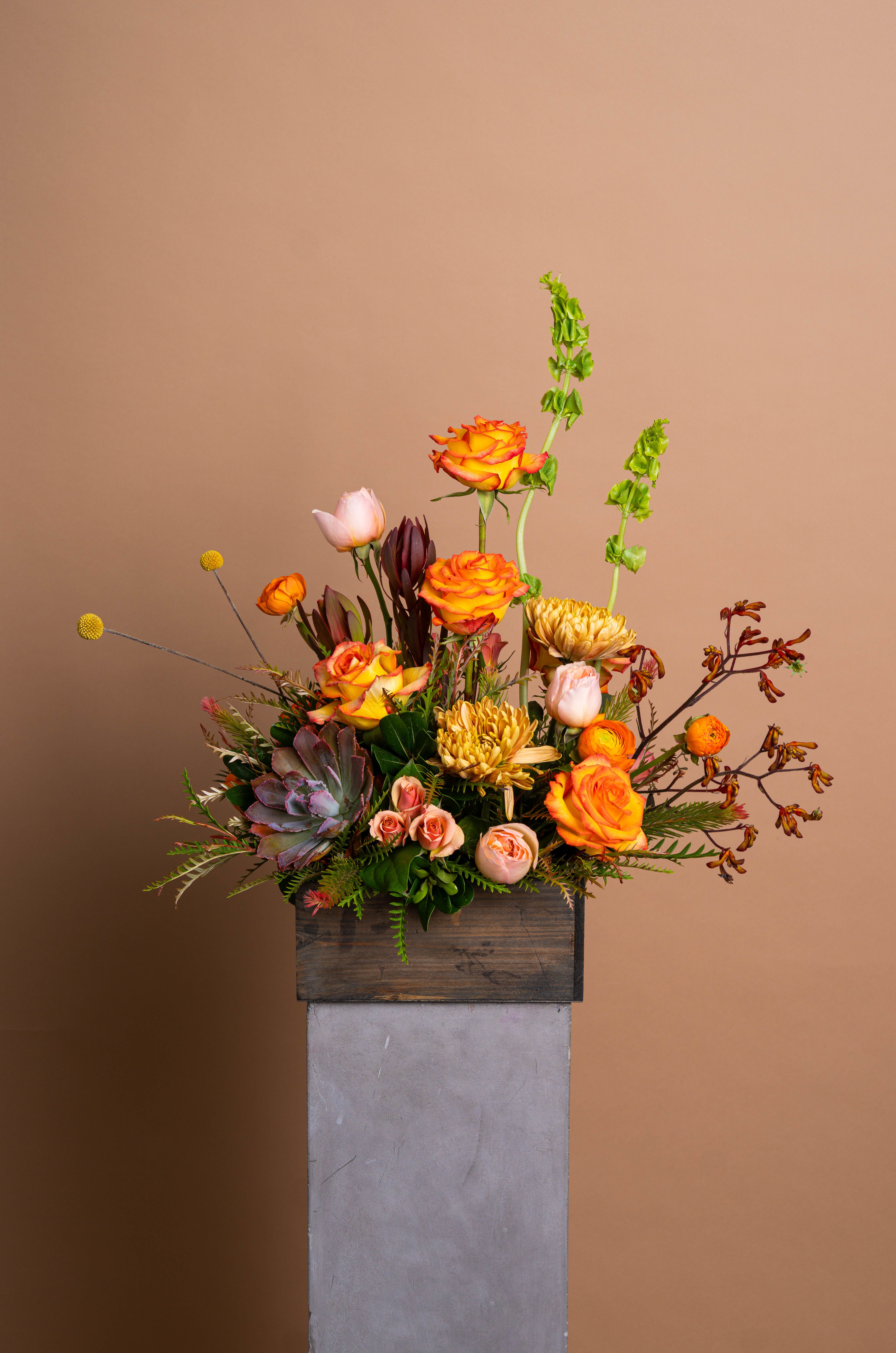CHARLOTTE - Vivid and composed, CHARLOTTE is a study in modern warmth. Golden roses, apricot ranunculus, and amber chrysanthemums rise in balance with Bells of Ireland and sculptural foliage. A grounded succulent anchors the palette, bringing contrast to the bouquet’s effortless vertical rhythm.  Bold, refined, and luminous, Charlotte embodies confident beauty.  The arrangement pictured is Deluxe.