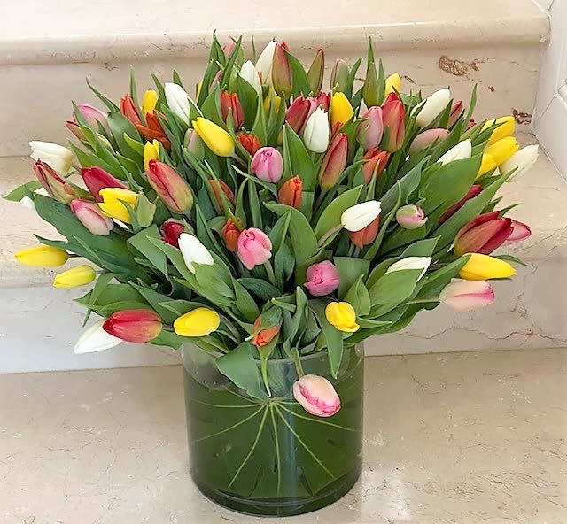 100 Tulips Multicolor arranged in a vase. - 100 Multicolor Tulips arranged Round in a vase