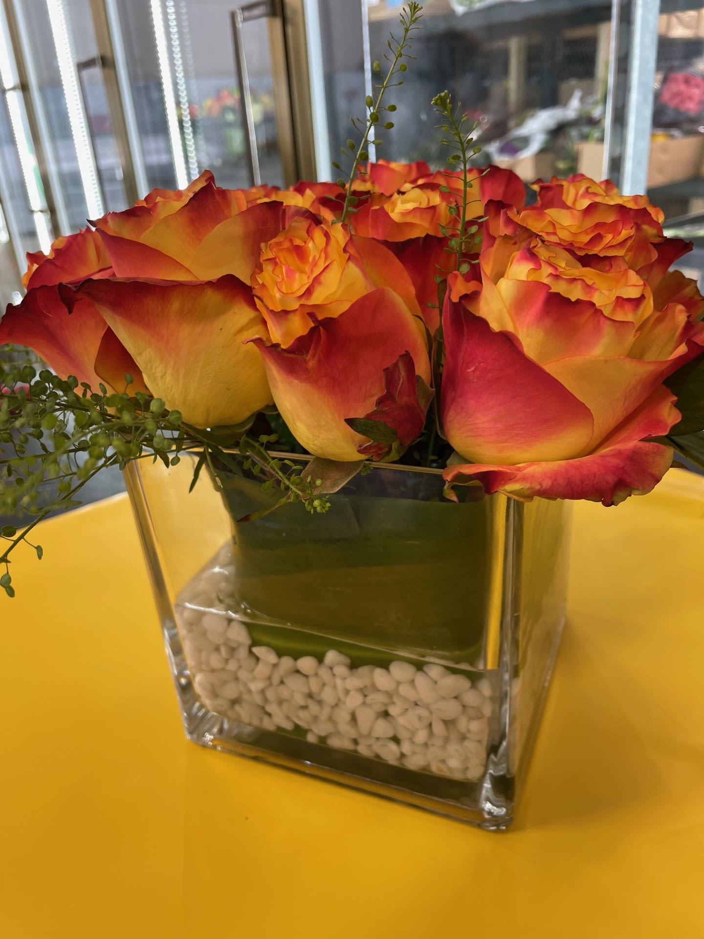 Fall 16 Roses - 16 Bi Colored Roses arranged perfectly in a 6X6 glass lined cube with white decorative pebbles in the base.