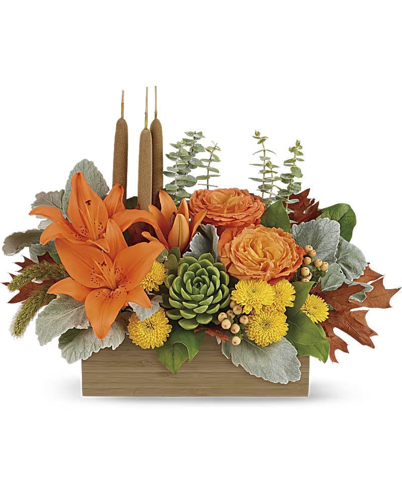 Fall Bamboo Garden - Enjoy the serenity of the season with a fresh fall centerpiece that is as beautiful as it is soothing. This lush arrangement enchants in shades of peach, orange and green - combining roses, lilies and even two succulent plants! Hand-delivered in a natural-toned bamboo rectangle. This gorgeous centerpiece arrangement features orange roses, orange asiatic lilies, yellow cushion spray chrysanthemums, peach hypericum, millet, cattails and two succulent plants, and finished with dusty miller, spiral eucalyptus and lemon leaf.