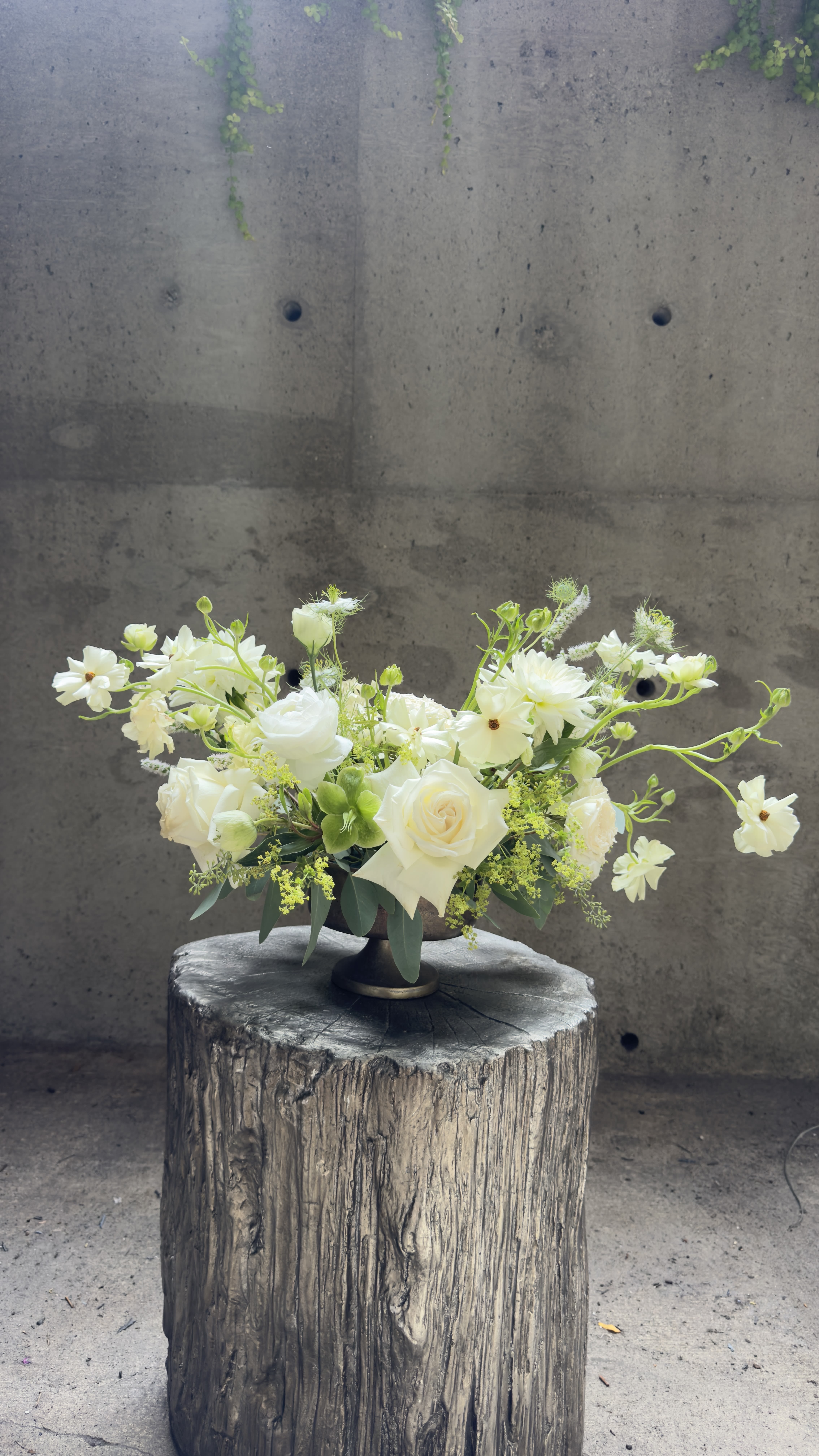 Pure Grace - Ethereal and timeless, Pure Grace embodies sophistication in its simplest form. Featuring lush white roses, delicate ranunculus, lisianthus, and soft seasonal textures, this arrangement radiates serenity and elegance. Accented with gentle greenery and styled in a classic compote vase, it makes a stunning centerpiece for weddings, celebrations, or as a refined gift. Its clean palette and airy design create an atmosphere of purity, harmony, and understated luxury.