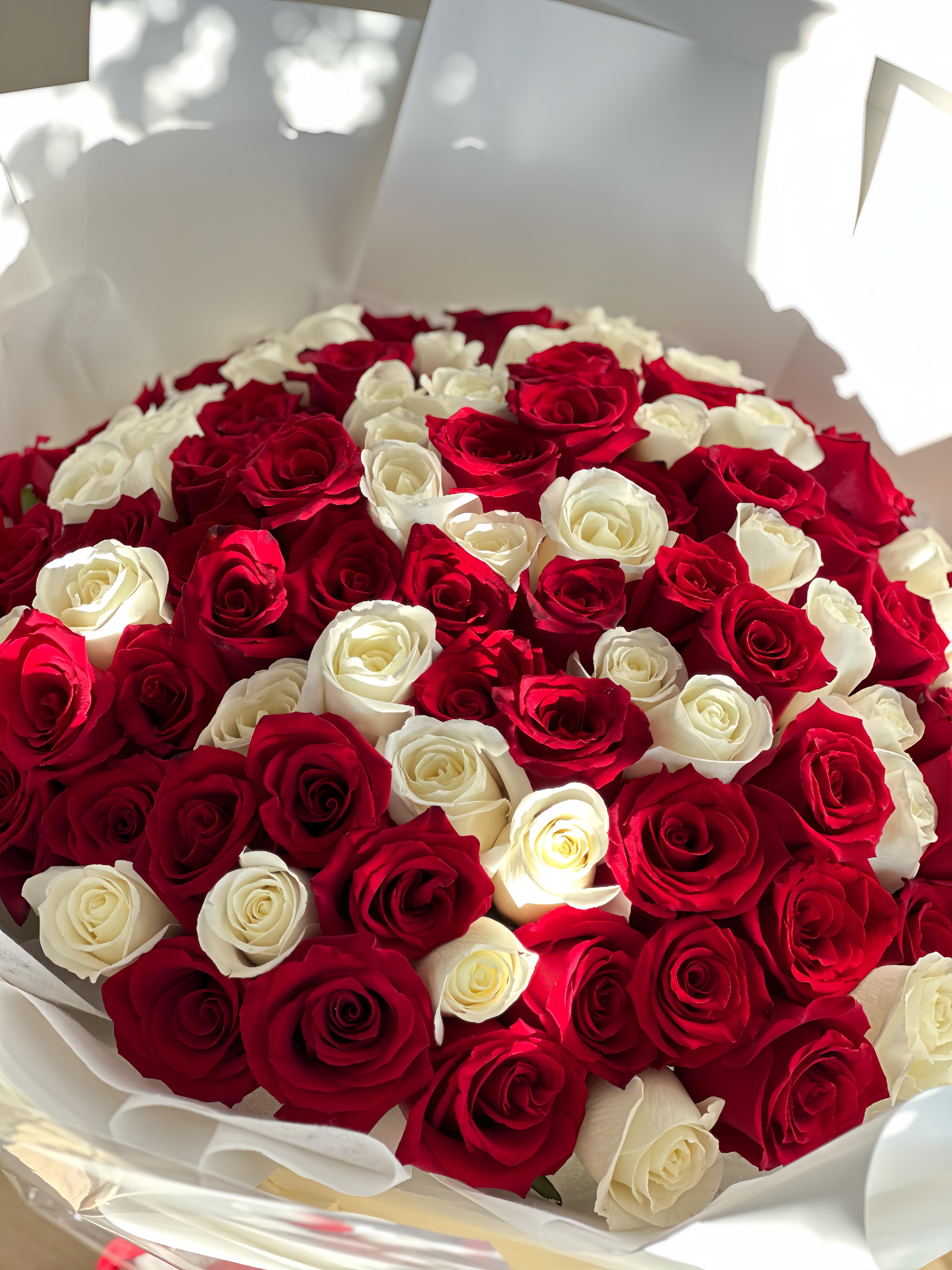 The Hundred Mix Roses  - A round bouquet of 100 red and white roses, wrapped in white paper.  Flower types may vary depending on the season.