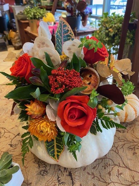 The 'Real' White Pumpkin - We have a thing for white pumpkins at the Crimson Petal.  One of our designers brought in a nice flat white pumpkin, and we dressed it up a bit!!  the flowers are not inserted into the pumpkin but are hydrated...no muss, no fuss!  This is a first-time offering and these will go fast!  Order ASAP