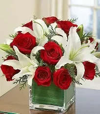 Holiday Season of Serenity - Celebrate the season with timeless beauty and heartfelt warmth. The Holiday Elegance arrangement features a stunning blend of classic red roses and pristine white lilies, artfully arranged in a glossy red vase that glows with holiday cheer.  Each velvety rose symbolizes love and joy, while the graceful white lilies evoke peace and remembrance—making this piece ideal for both festive gatherings and thoughtful seasonal tributes. Accented with sprigs of evergreen, pinecones, and shimmering gold or silver ornaments, this arrangement captures the magic of Christmas in every petal.