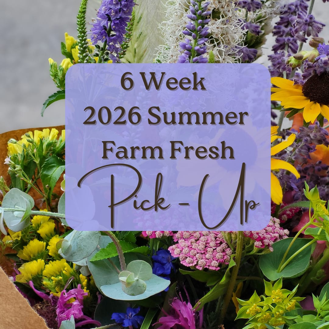 Farm Fresh 2026 Summer Bouquet Subscription - This popular subscription treats you to six weeks of vibrant, high-quality bouquets, picked fresh from our flower fields every week throughout the summer. Get ready for arrangements bursting with color, texture, and variety—perfect for brightening your home or workspace.  What You Get:   *6 Weeks of Beauty: Receive one stunning, unique bouquet every week for six consecutive weeks during the height of the summer growing season.  *Farm-to-Vase Freshness: Each week's bouquet will be different, showcasing the very best of what's blooming in our fields. Expect a delightful variety, including Sunflowers, Zinnias, Lisianthus, Dahlias, Celosia, Cosmos, Snapdragons, Scabiosa, Veronica, and many other specialty cut flowers.  Early Bird Sign-Up Bonus! As a thank you for signing up early, you'll receive a special bonus package worth over $80! *Fresh Evergreen Wreath $40 value *$20 in Cart Cash $20 value (Use at our roadside flower cart) *1 You-Pick Ticket $20 value (Valid for one You-Pick at our Enon Valley self-serve stand in 2026)  Pick-Up &amp; Delivery  Your beautiful subscription bouquets will be ready for pick up at our shop every Wednesday starting late June 2026  Need delivery?  Delivery is available for an additional charge. Please call us for pricing and to arrange delivery to your area.  Ready to fill your summer with the freshest blooms? Sign up now to secure your spot and your Early Bird perks! 