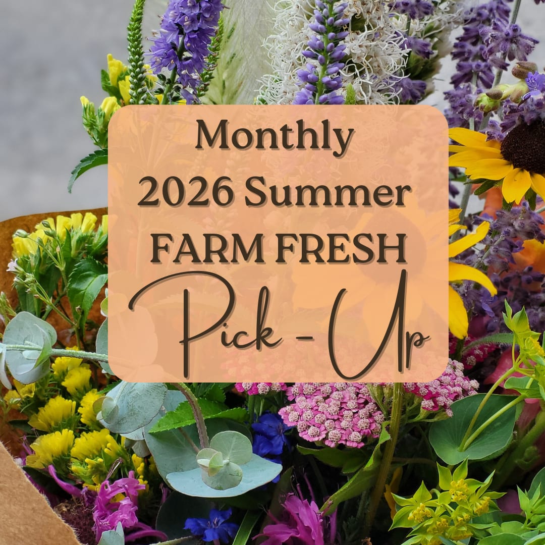 Farm Fresh 2026 Summer Blooms Monthly Subscription -  *NEW* for 2026:  We've extented the season by 1 extra month to include 6 Bouquets for 2026 from May through October!  Early Bird Sign-Up Bonus! As a thank you for signing up early, you'll receive a special bonus package worth over $80! *Fresh Evergreen Wreath $40 value *$20 in Cart Cash $20 value (Use at our roadside flower cart) *1 You-Pick Ticket $20 value (Valid for one You-Pick at our Enon Valley self-serve stand in 2026)  This popular subscription treats you to a new bouquet each month, from May through October, of vibrant, high-quality bouquets, picked fresh from our flower fields throughout the summer and early fall. Get ready for arrangements bursting with color, texture, and variety—perfect for brightening your home or workspace. You'll receive a total of 6 bouquets  What You Get:   *6 Months of Beauty: Receive one stunning, unique bouquet each month from May to October, during the height of the summer growing season.  *Farm-to-Vase Freshness: Each bouquet will be different, showcasing the very best of what's blooming in our fields. Expect a delightful variety, including Sunflowers, Zinnias, Lisianthus, Dahlias, Celosia, Cosmos, Snapdragons, Scabiosa, Veronica, and many other specialty cut flowers.  We have the option of a NEW Pickup location in Enon Valley, PA - when ordering simply mention which location you prefer to pick up - New Castle or Enon Valley.