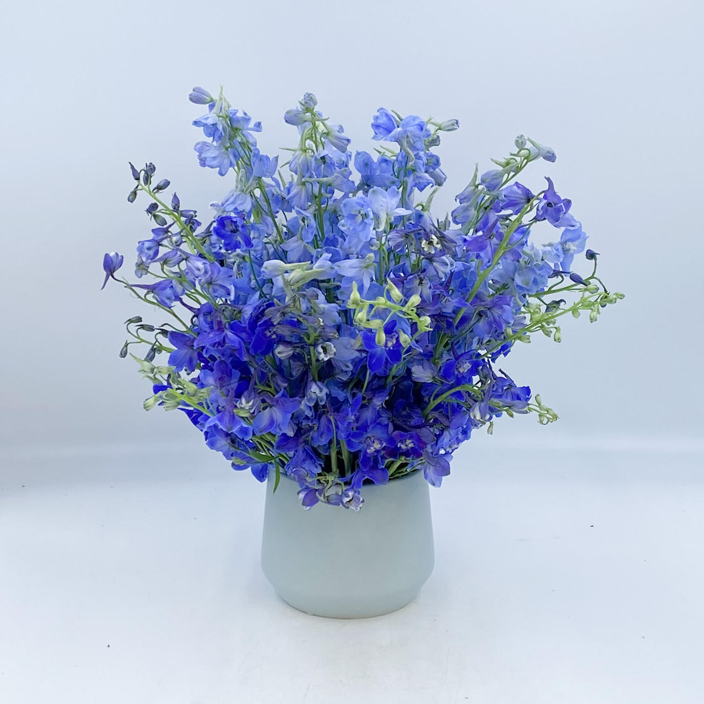 Blue Grotto - Blue Grotto is a combination or Light Blue and Dark Blue Delphinium arranged in a light blue ceramic container. Inspired by the beautiful Grotta Azzurra in Capri, Italy, Blue Grotto is sure to amaze anyone who receives it. 