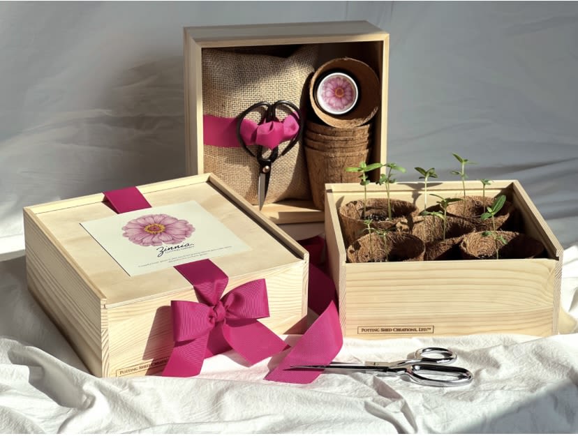 Cutting Garden Box  - Plant a beautiful flower garden with easy and fast growing cut-and-come-again Zinnias. The perfect first flower garden includes everything needed: directions taking the gardener from seed planting, tending &amp; harvest to seed collection. Weather you garden in containers or outside spaces, there's something truly special about growing your own flowers, watching them take form and creating a bouquet from your own garden. includes California Giant Zinnia seed mix in a reusable tin (covers approx. 150 sqft) . 5 coir seedling pots to get an early start indoors (additional seed included to direct sow as weather warms) . drip tray for seedling pots. OMRI listed seed-starting soil. flower shears. easy-follow directions for both indoor starting and direct sowing, along with harvest and seed collection tips to save seed for next year's garden. lovely pine box with sliding lid, hand tied with grosgrain ribbon.