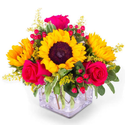 Sparkling Sunflowers - Lost about how to let your dear ones have a beautiful, fragrant, as well as cheerful day with positive energy and elevate their mood? No worries! We got your back. This Sparkling Sunflower bouquet is all that you need.  The Sparkling Sunflowers bouquet is made of bright Sunflowers, and Hot Pink Roses accented with Red Hypericum Berries and Golden Solidago.  This bouquet is full of love and positive energy because of the symbolic meanings and beauty of its flowers. The Sunflower in this bouquet symbolizes positivity, strength, good luck, lasting happiness, and positivity. The Hot Pink Rose represents appreciation, gratitude, and recognition. The Red Hypericum Berries symbolizes cheer, luck, and inspiration. This also is believed to have the ability to ward off evil spirits. And the Golden Solidago represents happiness, success, and good fortune. This bouquet is a great way to say ‘Thank You’, or to cheer up your loved ones. It also is a great present for occasions like Graduation, Anniversary, and Birthday.
