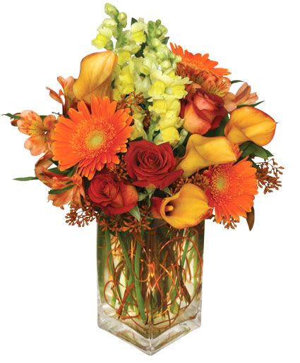 AUTUMN ADVENTURE ARRANGEMENT  - Bring seasonal color indoors with this lavish array of fall flowers! Our dynamic Autumn Adventure 