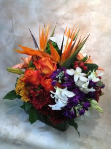 Crated Intensity - Crated Intensity