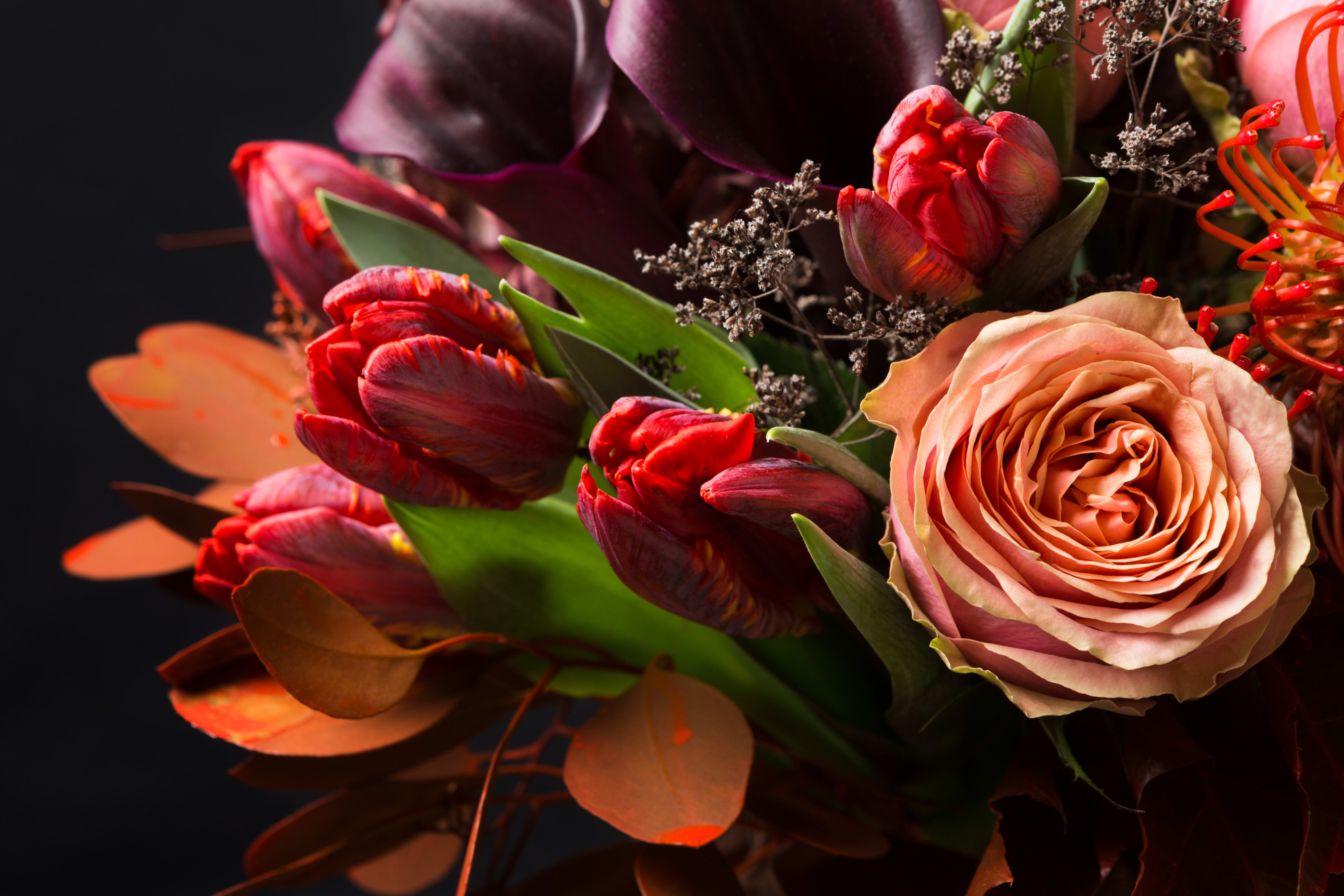 Designer's Choice - Warm Tones - Floral arrangement in warm tones (i.e. red, orange, yellow, magenta, fuschia, etc.) presented in a ceramic or clear glass vessel.   Each Designer's Choice vase arrangement will be one of a kind and consist of fresh, seasonal flowers. The arrangement depicted in the photo is just one example of our Designer's Choice Vase Arrangement. Actual arrangement may vary in terms of flower type, color scheme, and overall design depending on seasonal and local availability - but will be similar in size and include flowers of equal value.  Standard - 6" x 6" Vase Deluxe - 6.5" x 6.5" Vase Premium - 7" x 7" Vase