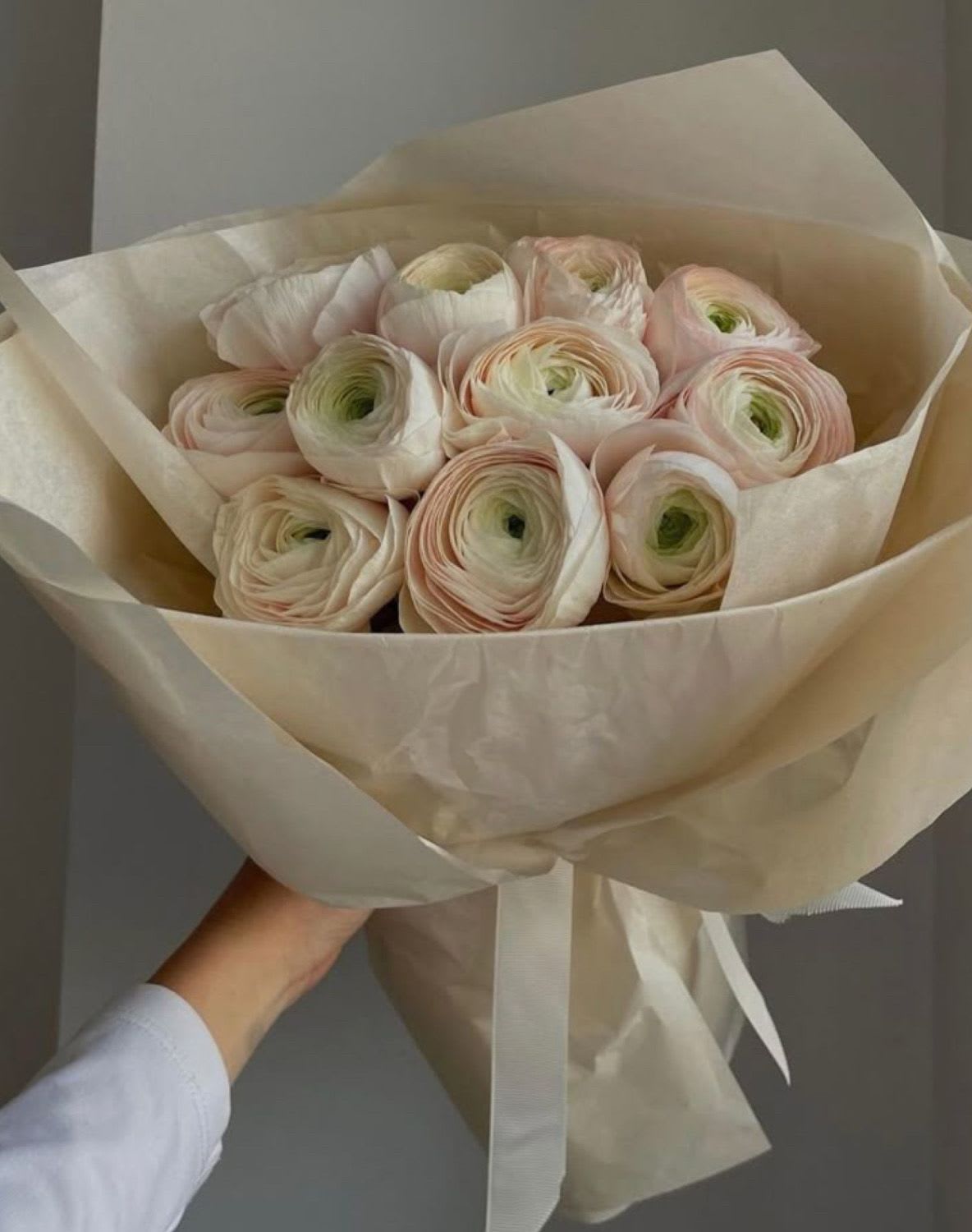 Cream Silence - Soft-spoken elegance. A bouquet of premium blush ranunculus wrapped in muted ivory tones — minimalist, luxurious, unforgettable. For the ones who speak beauty without raising their voice.   
