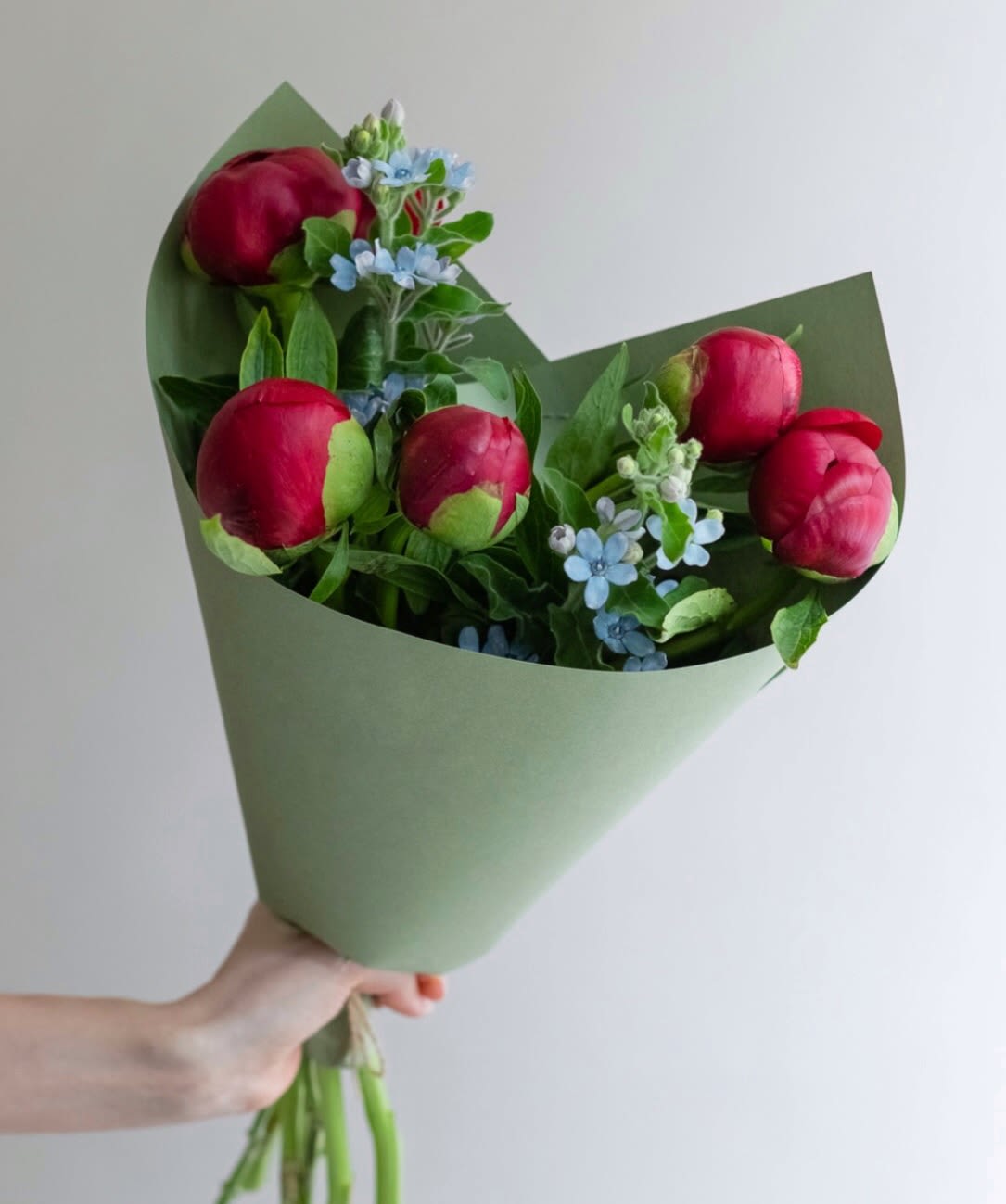 № 413 - Burgundy Peonies 