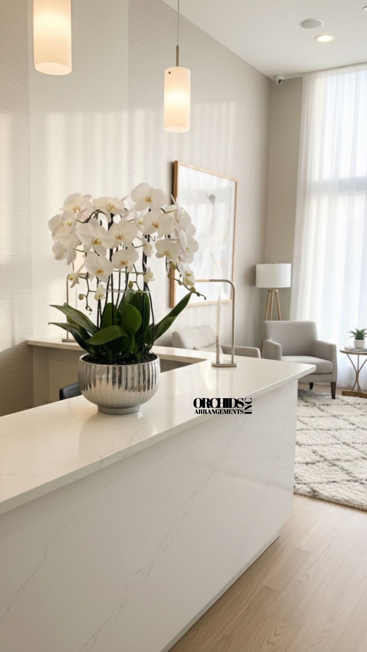 White Phalaenopsis Orchids Same Day - A high quality Nine white orchids arrangement with a vase 12&quot; D X 7&quot; T. An orchids arrangement deliver for any occasion design with fresh natural real beautiful Phalaenopsis cascade orchids plants minimalist decor. 