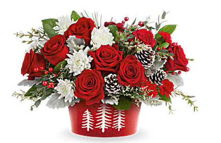 Teleflora's Snowy Pines Centerpiece - Celebrate the season with Teleflora's Snowy Pines Centerpiece. Bursting with red roses and white blooms in Teleflora's Snowy Pines Dish, this festive design brings winter magic to Christmas tables and holiday gatherings. Teleflora's Snowy Pines Centerpiece features red roses, red miniature carnations, white cushion spray chrysanthemums, and white limonium. Accented with dusty miller, parvifolia eucalyptus, salal, white pine, and frosted pinecones in Teleflora's food-safe Snowy Pines Dish Orientation: All-Around
