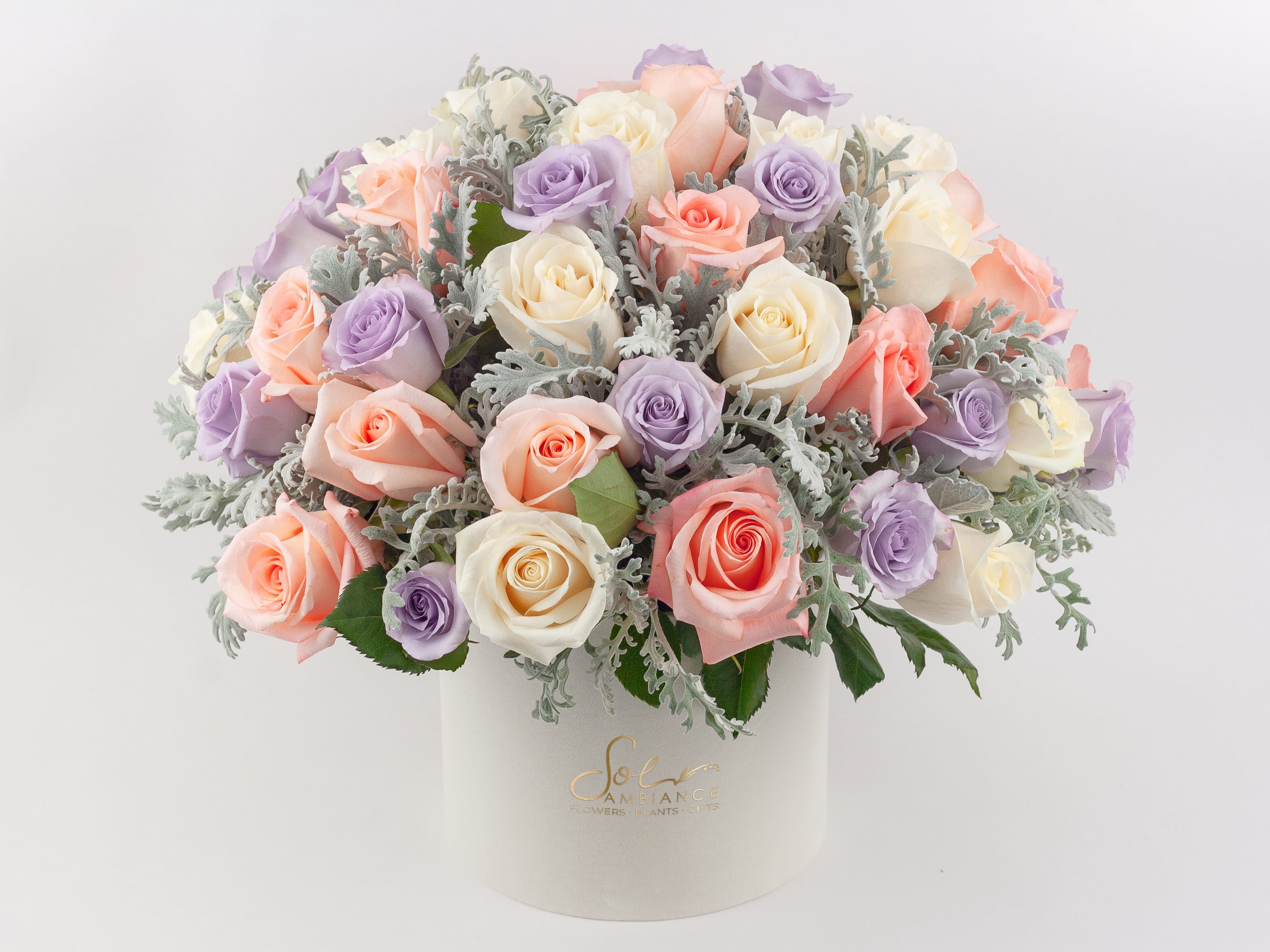 Pastel Party -  PASTEL ROSES IN LOGO BOX  Pretty and feminine. A sublime rose arrangement featuring a mass of stunning pastel roses in shades of soft peach, ivory and lavender. Presented in our signature logo box and accented with silver Dusty Miller foliage, this design is soft, dainty and so, so gorgeous. These flowers are perfect for people who are romantics at heart and love all things pretty.  Send this gift box of pastel roses to celebrate a birthday, special anniversary or newborn baby. Or wish someone a get well soon. It’s the perfect ‘just because’ gift idea and also makes a lovely sympathy flower gesture.  Why not add a greeting card, bunch of local dried lavender or quality handmade candle to match the occasion or personality?  Pastel Party features: ·        Light peach roses ·        Beautiful ivory Vendela roses ·        Lavender ‘Ocean Song’ roses ·        Silver Dusty Miller foliage ·        Signature Sol Ambiance ivory logo box  SIZE: The STANDARD flower arrangement is approximately 14” height and 14” width.   ALLERGY ADVICE: This design has low pollen and a low fragrance.   FAQ Q: What time will my flowers arrive and what if no-one is there to accept them? A: Excellent question! We’re unable to provide or guarantee specific delivery times. All our flowers are delivered anytime between 9-5pm, with exception to Sympathy designs for a funeral service. For full details around our delivery process and timings, please see our Terms and Conditions. Q: What days do you deliver flowers? A: All our flowers are available for San Francisco and Daly City delivery seven days a week, between 9am-5pm. Q: May I order for the same day delivery? A: Yes, same day deliveries are available if you place an order before 1pm. Q: May I request to change the design a bit? A: Yes, please make a note in the SPECIAL INSTRUCTION box when you place your online order. We will do our best to follow them. Q: Will my flowers look exactly as what is pictured? A: Depending on the season, colors or shades may vary. Sometimes we need to substitute flowers due to seasonal availability, but they’re always substituted for the same or greater value.   Ready to bring floral beauty into someone’s world with this box of pastel roses? Order this gift online now or give us a call on (415) 752-2060 if you have a question or special request. 
