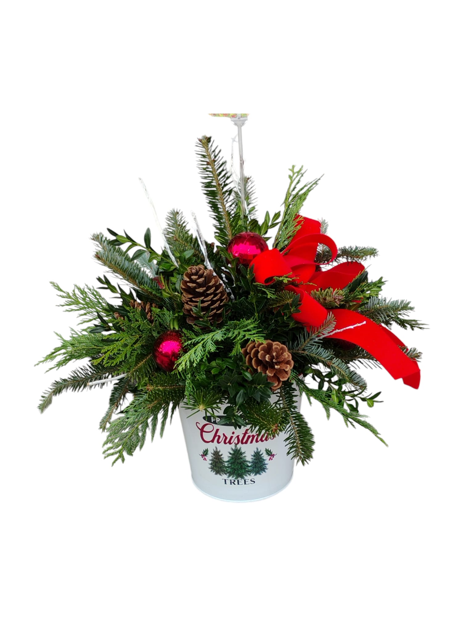 Porch Pot Posies - Transform your porch into a winter wonderland with our fabulous Porch Pot Posies! Handcrafted with fragrant pine and a delightful mix of greens, these charming arrangements are topped off with a festive bow and whimsical pine cones, bringing a burst of holiday cheer right to your doorstep.&nbsp;  Perfect for sprucing up your outdoor space or as a thoughtful gift, these pots are not just pretty—they're low-maintenance too! Just a light watering here and there, and you'll enjoy a stunning display all season long. Get ready to spread some holiday magic!