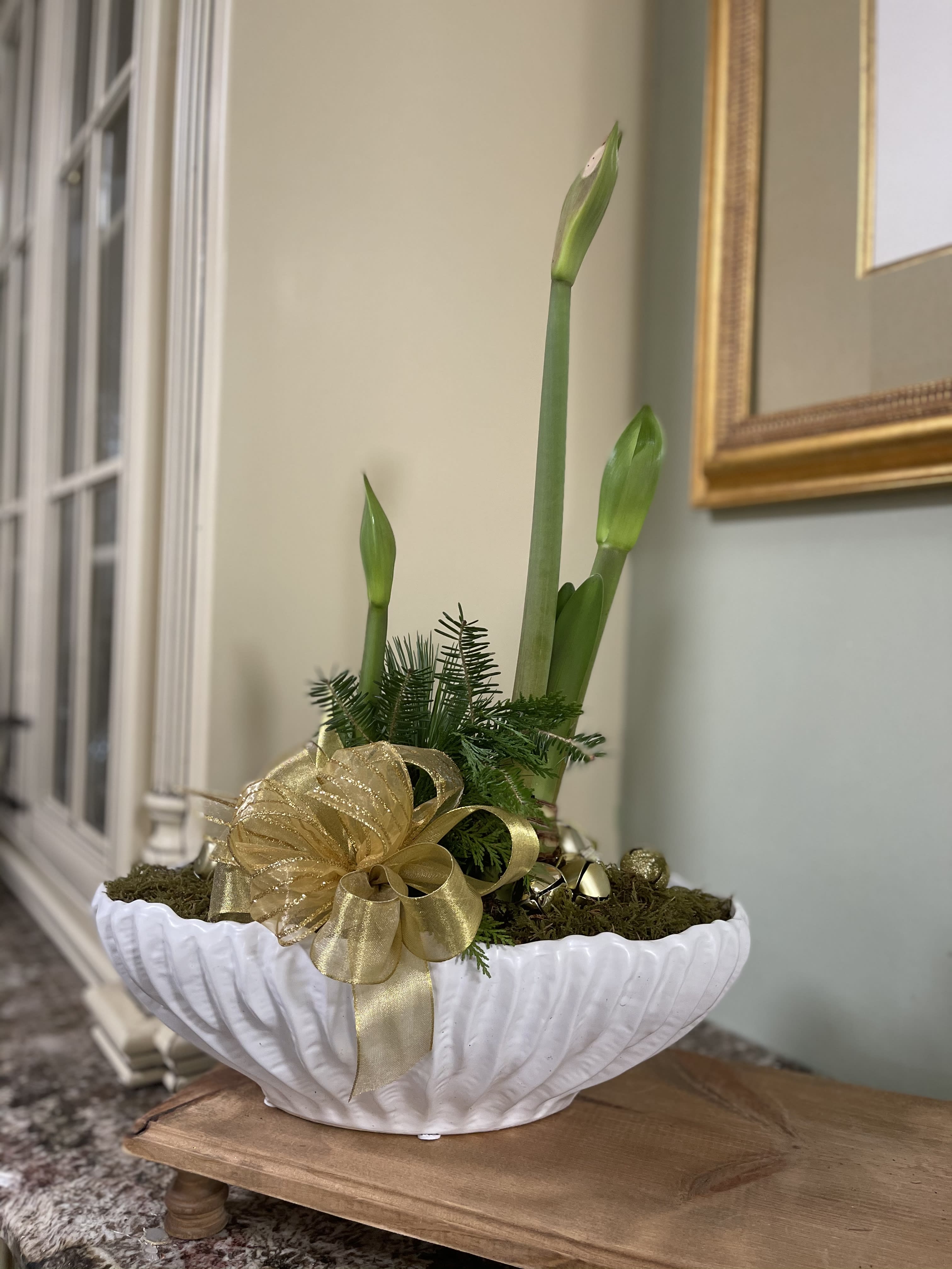 Amaryllis Garden - For a limited time, the Holiday Amaryllis Garden.  Single, Double and Triple collection available.