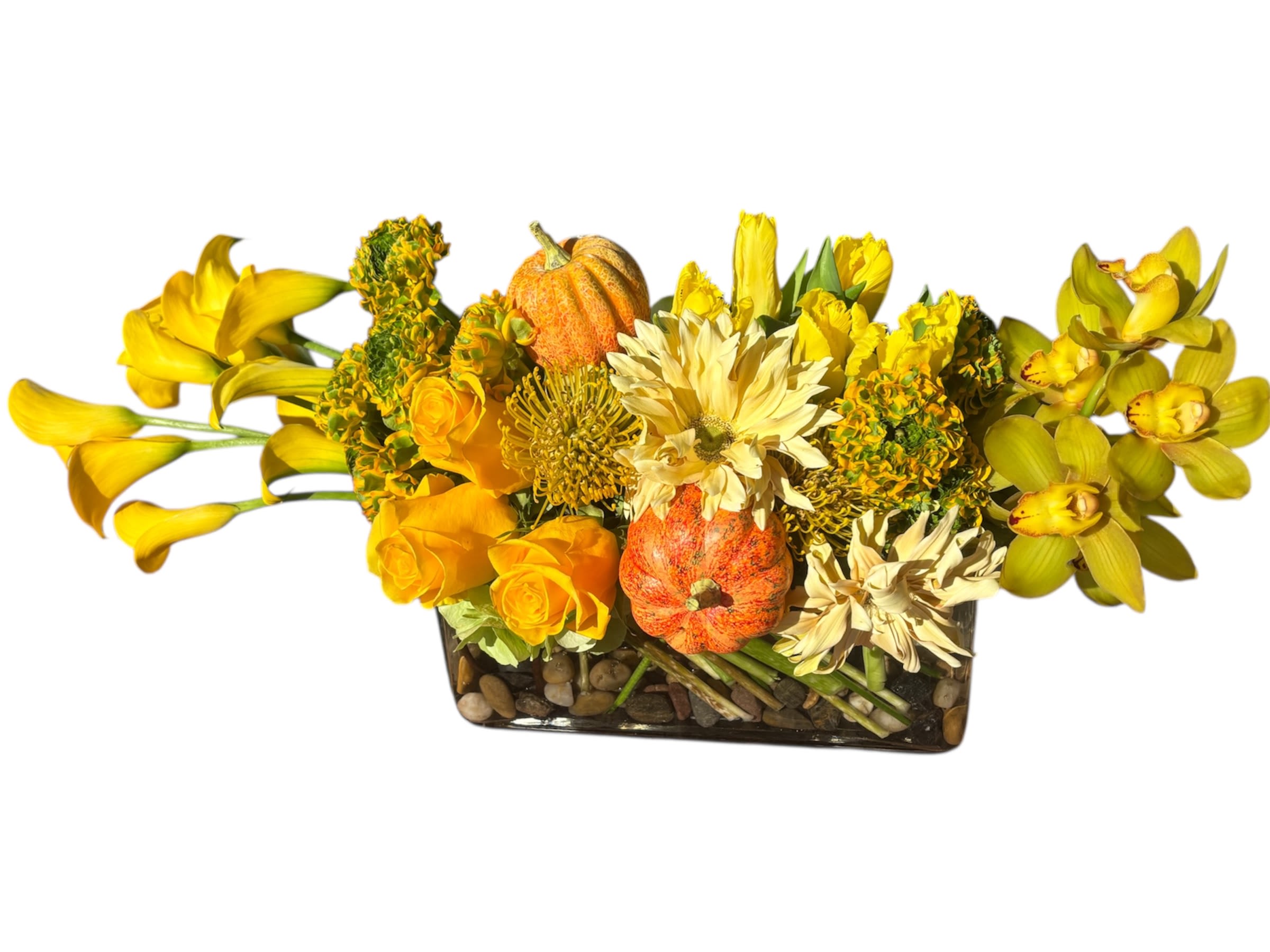 Pumpkin Spice Blooms - Bursting with sunshine tones, this long, low arrangement combines yellow callas, tulips, roses, protea, curly daisies, cymbidium orchids, and ranunculus. Mini pumpkins add a playful seasonal touch, while river rocks in the glass vase ground the design with natural elegance.