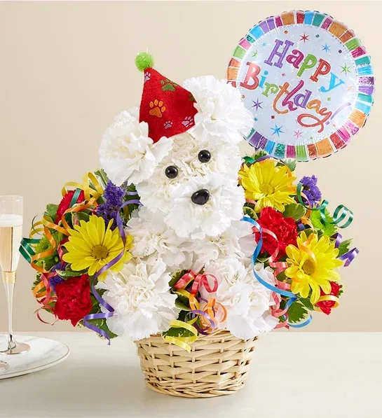 Another Year Rover with Balloon - Celebrate another trip around the sun with our bestselling birthday pup! Another Year Rover™ is a cheerful, one-of-a-kind flower arrangement shaped like a playful puppy, handcrafted from fresh white carnations and bright blooms. Wearing a party hat and surrounded by vibrant birthday colors, he’s the perfect way to send smiles for any age. Add a festive birthday balloon for even more fun!  Disclaimer: Our Puppy Love and Purrfection designs are exclusive to Floral Concepts and available only for delivery within our local Houston area.  Details:  Artistically crafted floral puppy made of fresh carnations, poms, and more  Arrives in a dog bed-style basket or container  Optional balloon upgrade available  Ideal for birthdays of all ages—kids, dog lovers, or anyone who deserves a happy tail wag