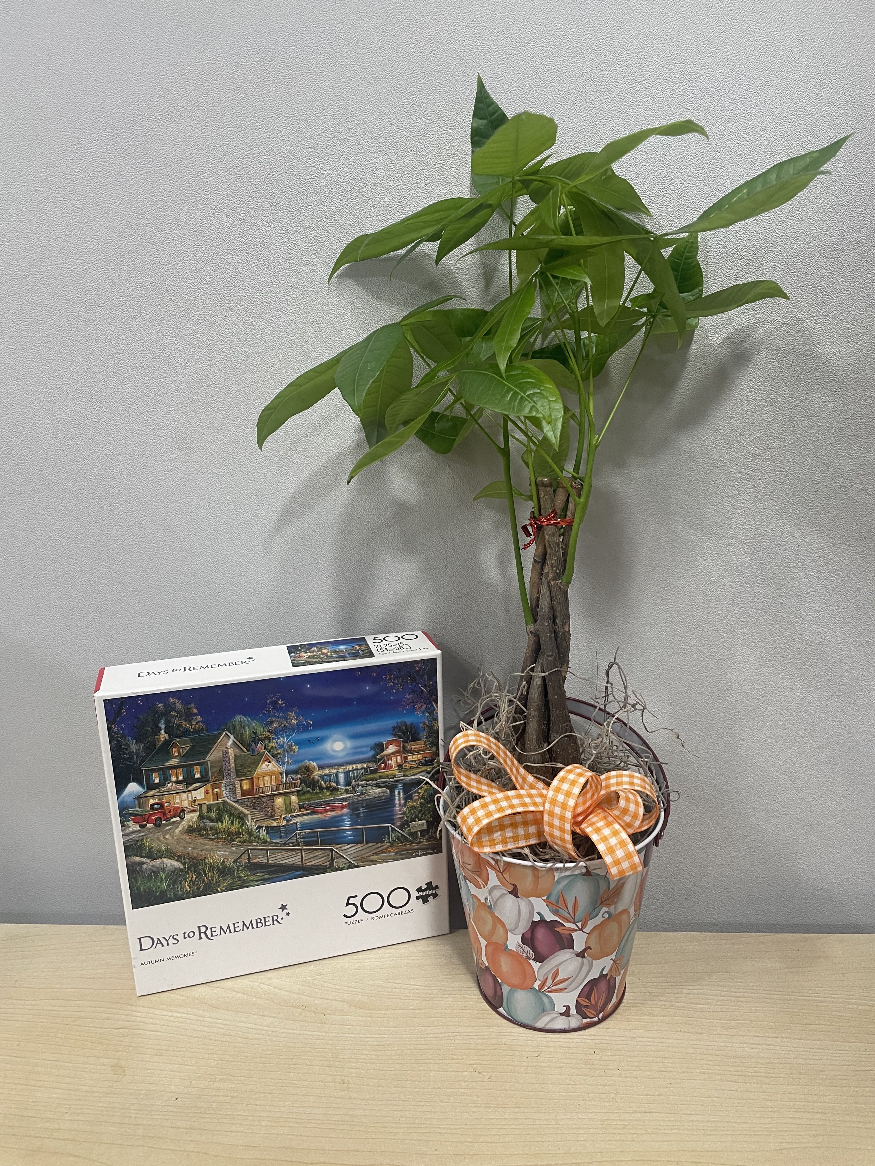 Autumn Money Tree &amp; Puzzle - As shown 