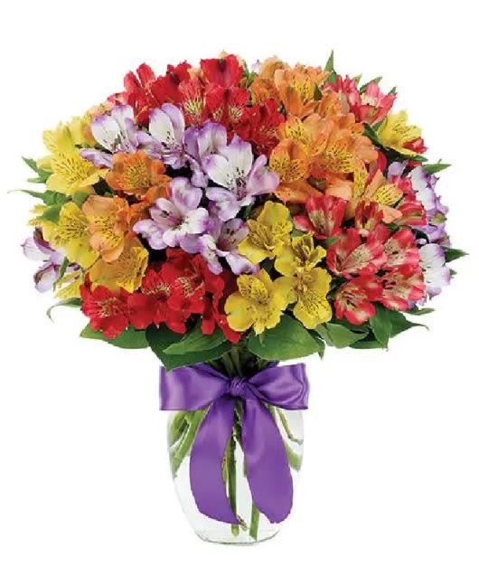 $23.95 DEAL OF THE DAY - Beautiful Peruvian Lilies in a kaleidoscope of colors
