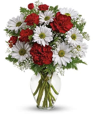 Kindest Heart Bouquet - A special show of kindness, on Valentine's Day or any day of the year! This eye-catching arrangement of red carnations, white daisies and delicate baby's breath will surprise and delight your special someone - and remain a treasured memory for years to come. Red carnations, red miniature carnations, white daisy spray chrysanthemums, baby's breath and leatherleaf fern. Delivered in a spring garden vase.