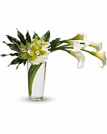 Moondance - Moondance. Romance. Elegance! Captivating callas, white hydrangea, exotic orchids in a stunning tall glass vase create a green and white dream come true. No matter who you send this fabulous arrangement to, you can be sure it will impress! White callas, white hydrangea and green cymbidium orchids arrive in a graceful tall glass vase.