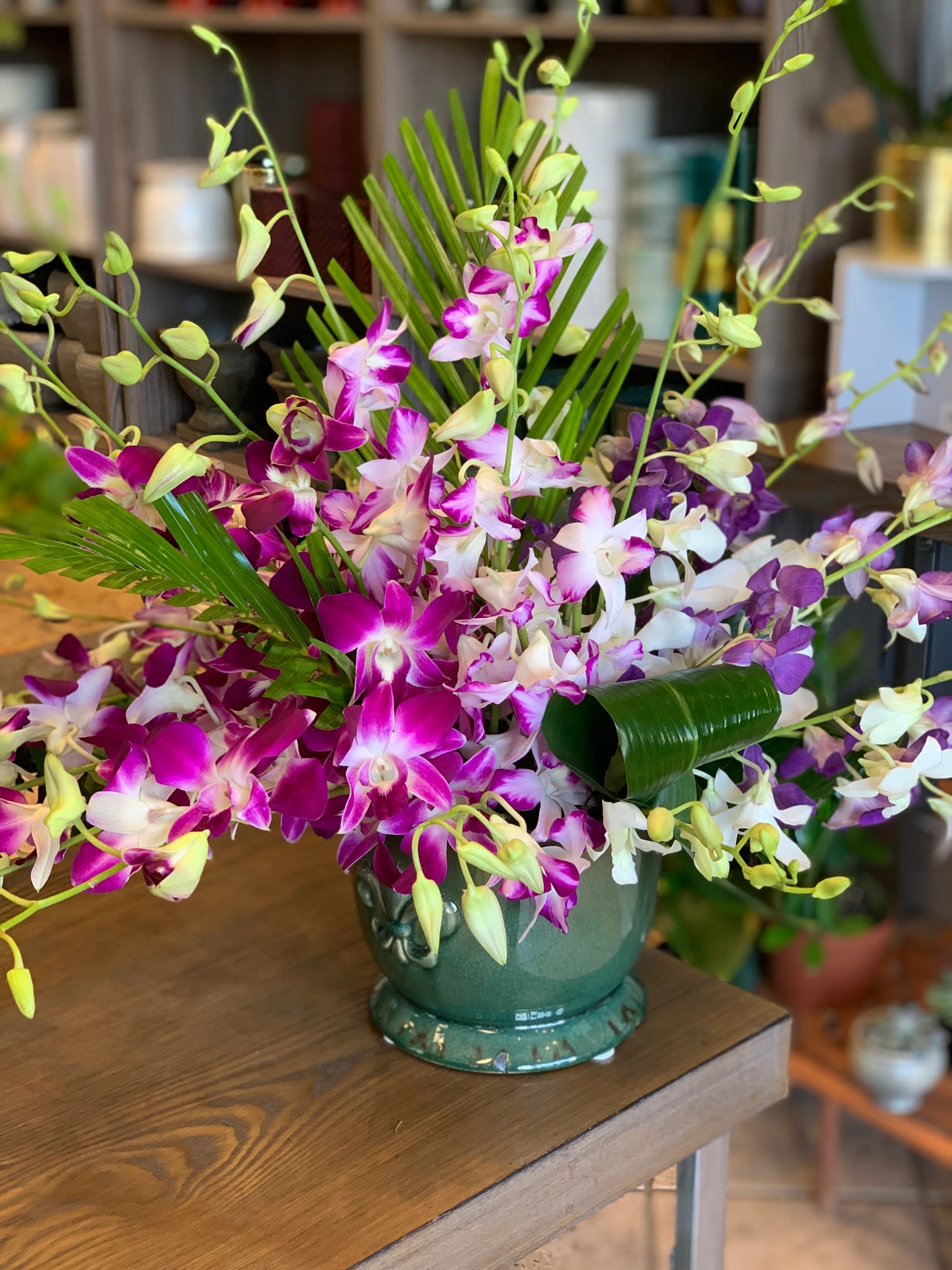 Eddie's Lovely Orchids  - Array of Dendrobium orchids from Thailand, colors may vary upon availability.  