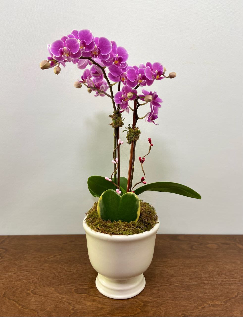 One and Only - Let your sweetheart know they're your One and Only with this arrangement of one miniature orchid paired with a heart shaped variegated hoya! *orchid color may vary depending on availability*