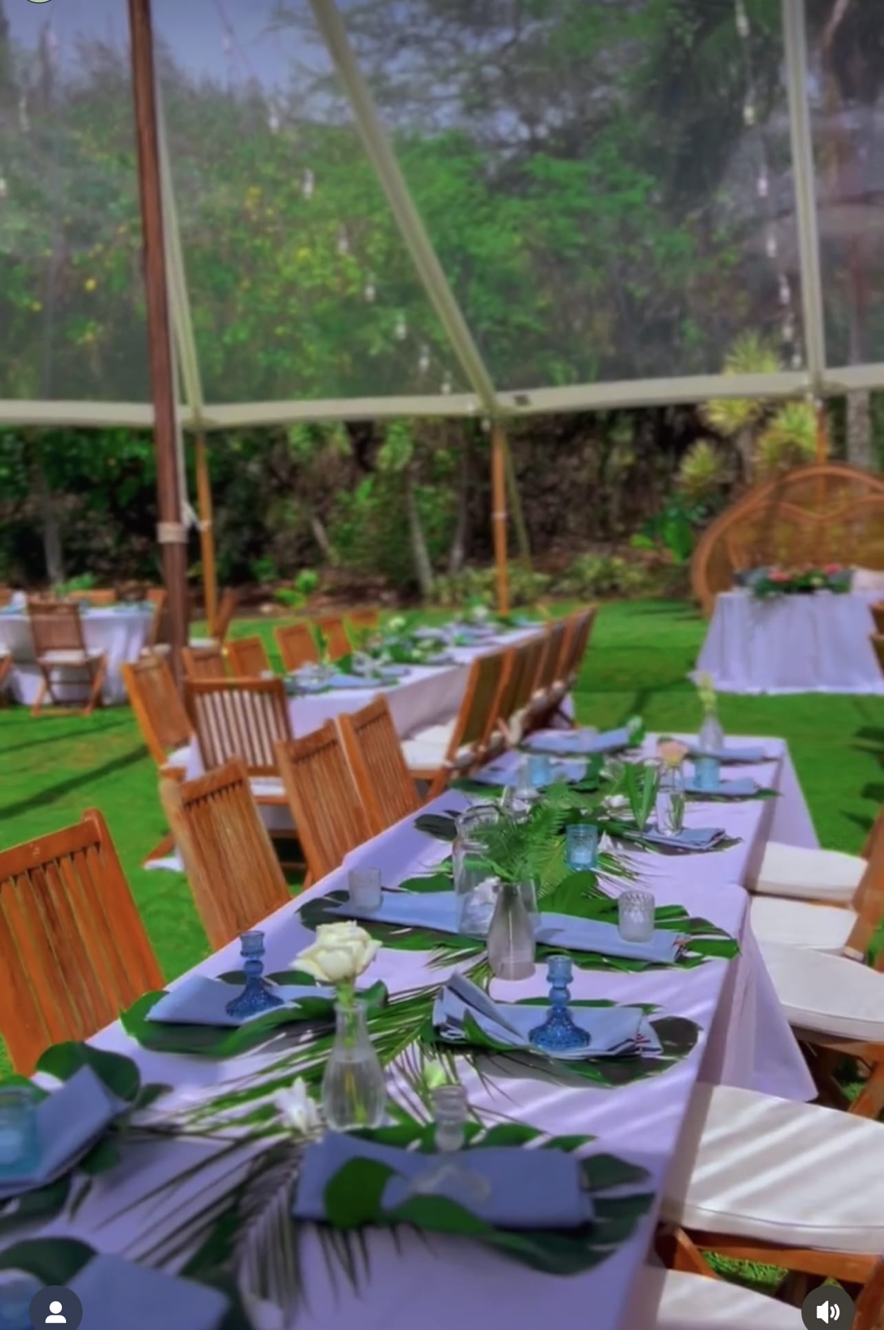 11 tropical table arrangements  for  Your  dinner party setting -  This pack includes 11  elegant  tropical table arrangements 8 medium size &amp; 3 large size   arrangements  all low compact with a tropical style in your preferred color palette three large  tropical arrangements displayed on pedestals