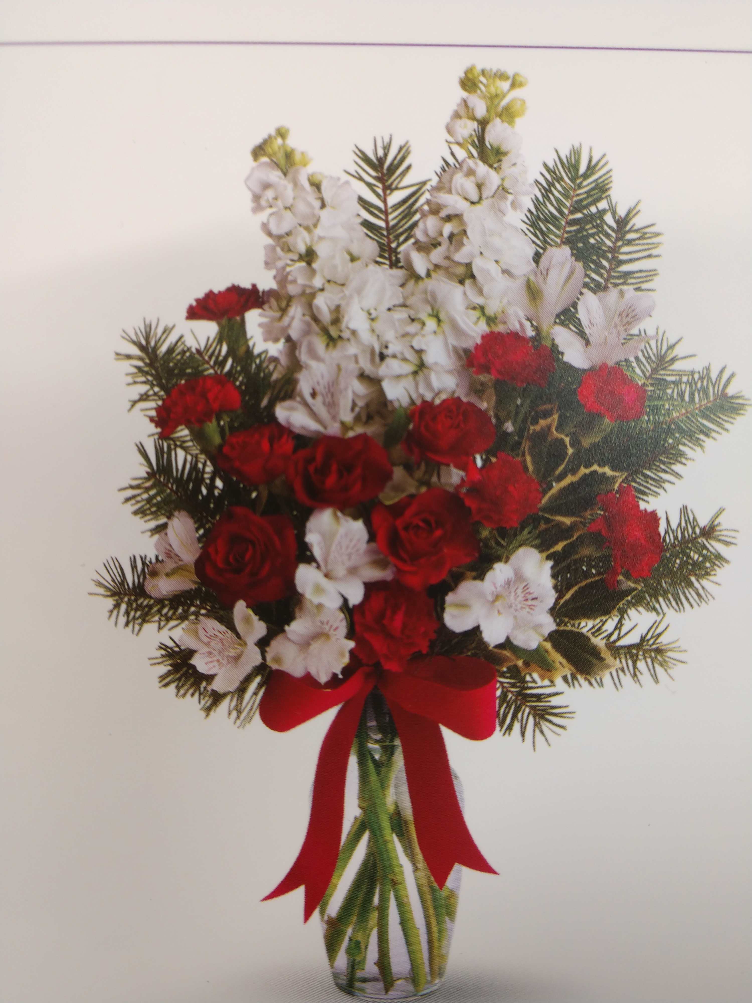 Snowflake and sugar plum Christmas arrangement - Red roses white alstroemeria red miniature carnations white stock holly noble fern in a clear vase with a red ribbon