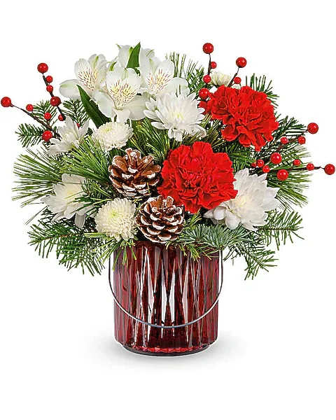 Teleflora's Luminous Charm Bouquet - Adorn your halls with timeless holiday elegance! This delightful bouquet of Christmas roses is artfully arranged in a charming red lantern vase with a silver handle. It doubles as a lovely candleholder for future holiday seasons! This festive bouquet includes white alstroemeria, red carnations, green button spray chrysanthemums, white cushion spray chrysanthemums, cedar, and noble fir. Delivered in the Merry Glow Lantern, it brings holiday cheer with its elegant arrangement.