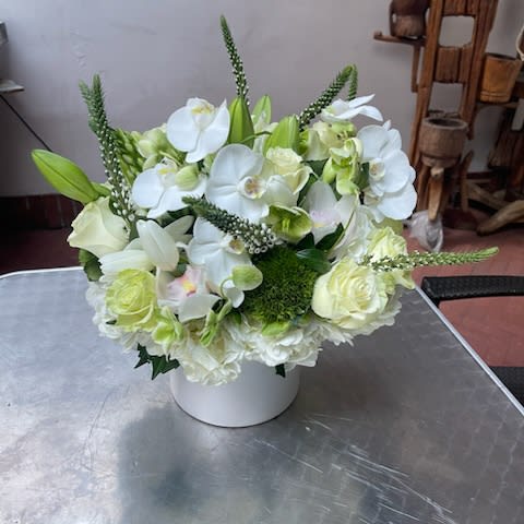 Ballet of White Petals: Cut Orchids in Pure Elegance - &quot;Ballet of White Petals&quot; is a stunning floral arrangement that showcases the exquisite beauty of cut orchids set against a backdrop of pure white blooms. This arrangement is a delicate dance of elegance, grace, and sophistication, where each cut orchid becomes a focal point in a mesmerizing display. Join us as we explore the enchanting world of &quot;Ballet of White Petals,&quot; where the ethereal allure of cut orchids meets the pristine beauty of white blossoms.  Conclusion: &quot;Ballet of White Petals: Cut Orchids in Pure Elegance&quot; is a visual masterpiece that celebrates the union of cut orchids and white blooms. As you admire or share this arrangement, may its delicate dance of elegance and refinement elevate the ambiance of your surroundings. Just as the arrangement exudes timeless sophistication and exotic charm, may your space be transformed into a haven of pure beauty, creating an atmosphere enriched by the ethereal allure of &quot;Ballet of White Petals.&quot;  Varieties and colors of flowers may vary according to season and availability. This arrangement includes a newly cleaned vase and good quality water &amp; flower food.  Care Instructions: For the best vase life, change the water every two days.  Item: 1732